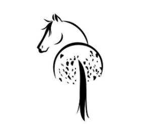 gray cardboard boxeas Never Forget You