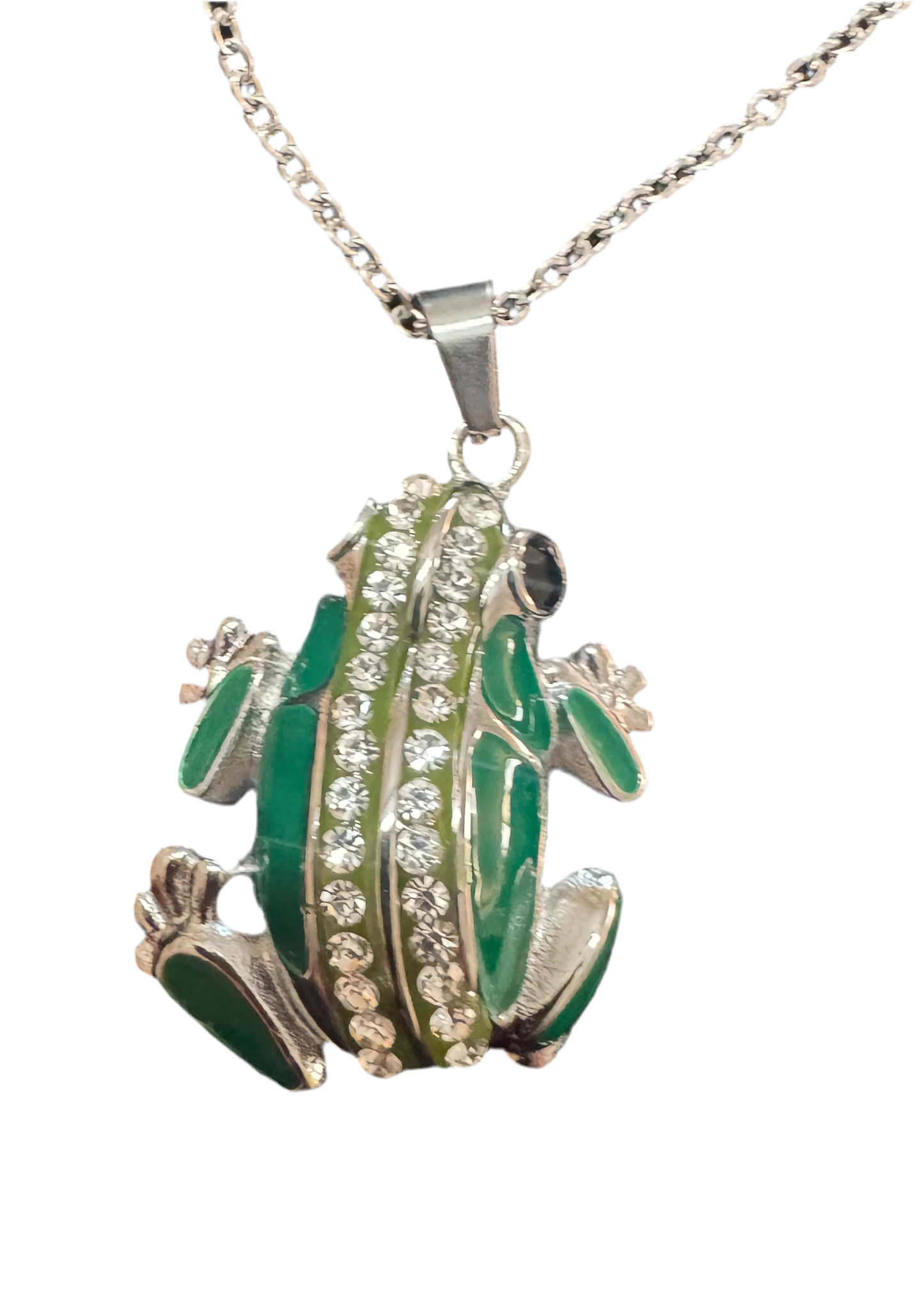 Frog Ashes Necklace Pendant