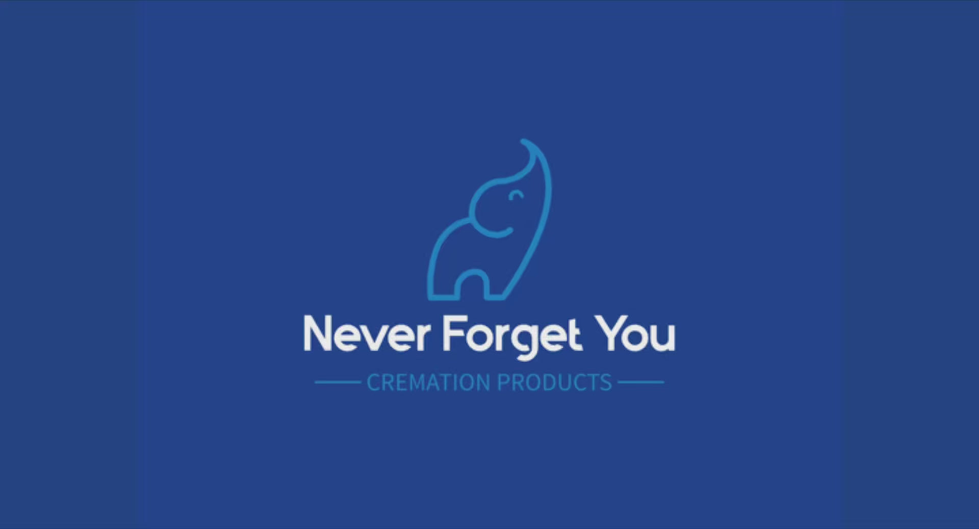 Load video: Never Forget You